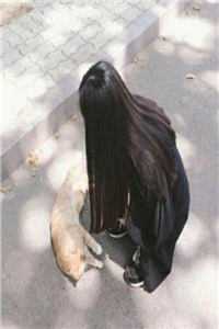 长安落雪，故人不归结局+番外