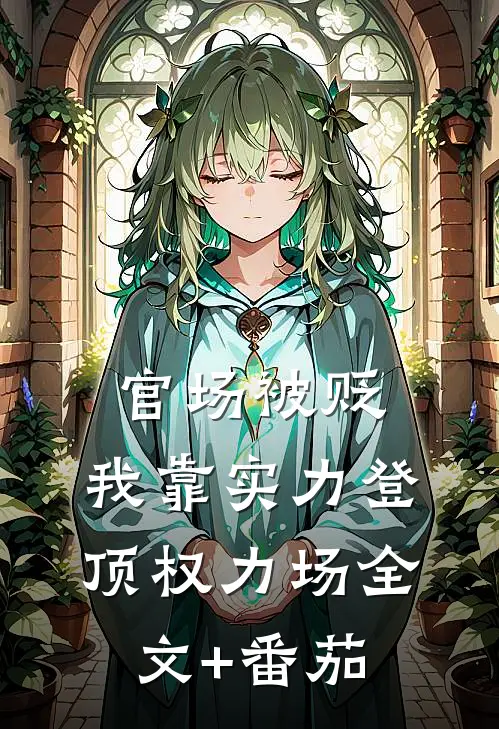 官场被贬，我靠实力登顶权力场全文+番茄