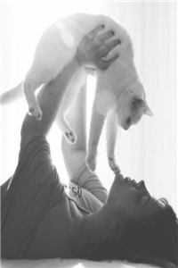 山雨来时雾蒙蒙优质全文阅读