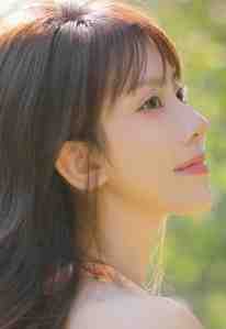 风停后无人归全集