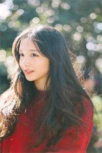 八零春，若梦回精品篇