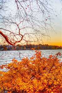 刚分手，我转身从督查部门狂飙质量好文