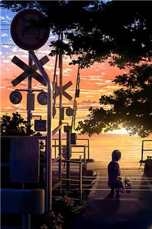 愿我如星君如月最新