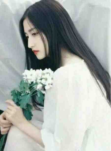 长安落雪，故人不归后续+结局