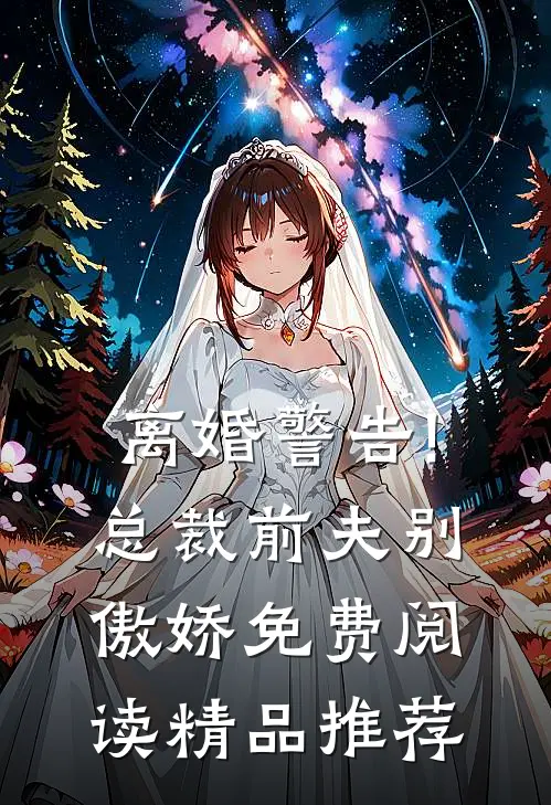 离婚警告!总裁前夫别傲娇免费阅读精品推荐