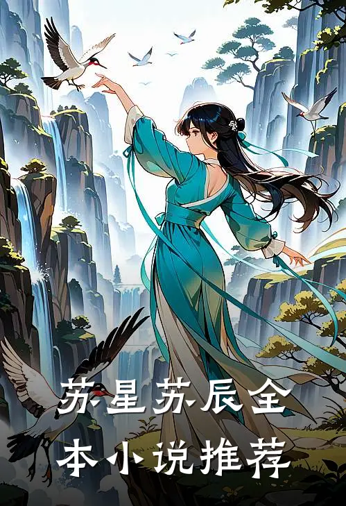 苏星苏辰全本小说推荐