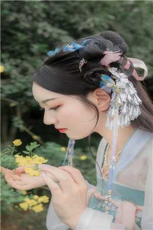 山河已无恙，君心不思归顾长风阿宁小说结局