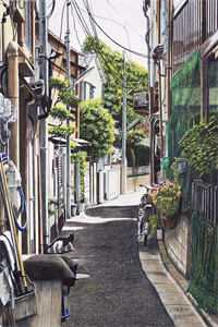 杀敌爆属性，从参军开始速成武神人气小说