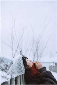 皇上灭我满门，我掀翻了整个皇宫质量好文