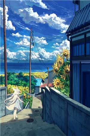 旁人不解的婚姻，藏着最深的偏爱后续+无弹窗