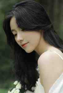 爱填山海，梦葬繁花陆景辞许微仪后续+全文