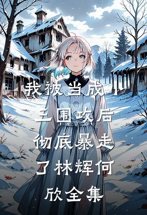 我被当成小三围攻后,彻底暴走了林辉何欣全集免费阅读