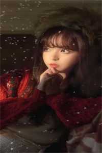 风停后无人归全文章节