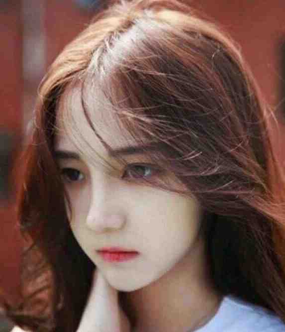 碎月不照两人心全球完整文集