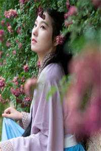 鸿雁长飞光不渡良心推荐