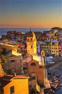 妻子掘了我的坟后，后悔疯了苏晨沈枝全文+免费