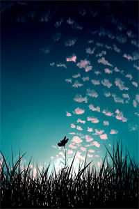 我心也曾逐月华无删减全文