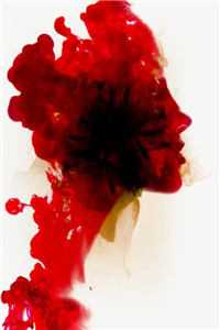 几听雨落优质全文阅读