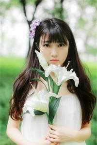 绝字入归鸟结局+番外