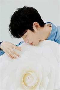 京夜炙吻后续+番外