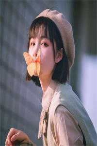 不见桐花万里路全文免费阅读