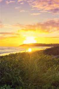 贫困生偷我外卖，我往螺蛳粉里加了料人气小说