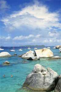 晚来夜雨梧桐落目录