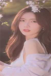 囚鸟飞向北境雪前文+番外