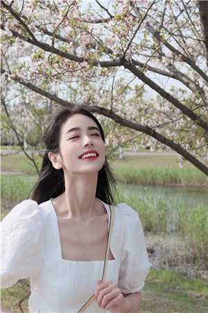 月落空山听落花爽文