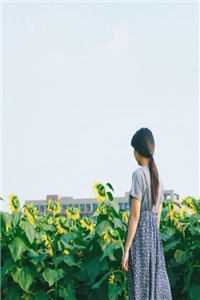 晚风寻遍人间月畅销巨著