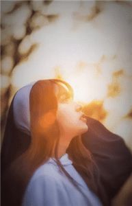 锦书封存晚照中爆款热文