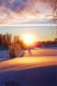 春风如过客，秋水揽星河大结局