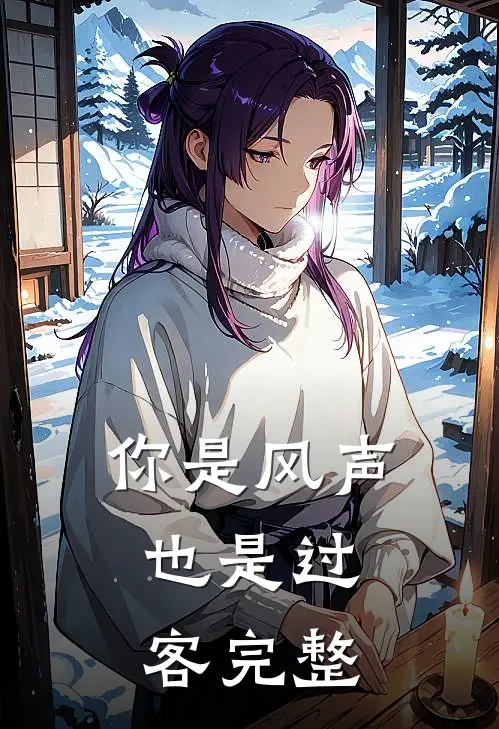 你是风声，也是过客完整