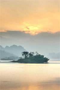 六岁萌娃掌全局，玩转深宅心机算计在线阅读