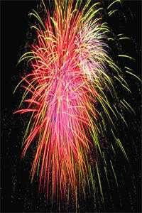 宁为侯府福孕婢，不做绝嗣帝王妻无广告