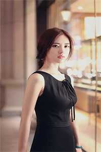 扶摇鹤南飞无广告