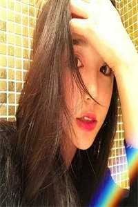 晚风辞朝露爆款宝藏