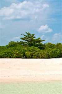 妈妈照顾了我二十年后，我被全网骂上了热搜在线阅读