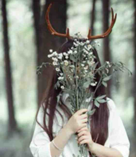 此爱未曾见云天高质量好文