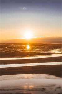 花灯影里寄相思好书