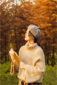 后宅升职记，我不小心站上巅峰了沈清言唐圆圆全文+免费