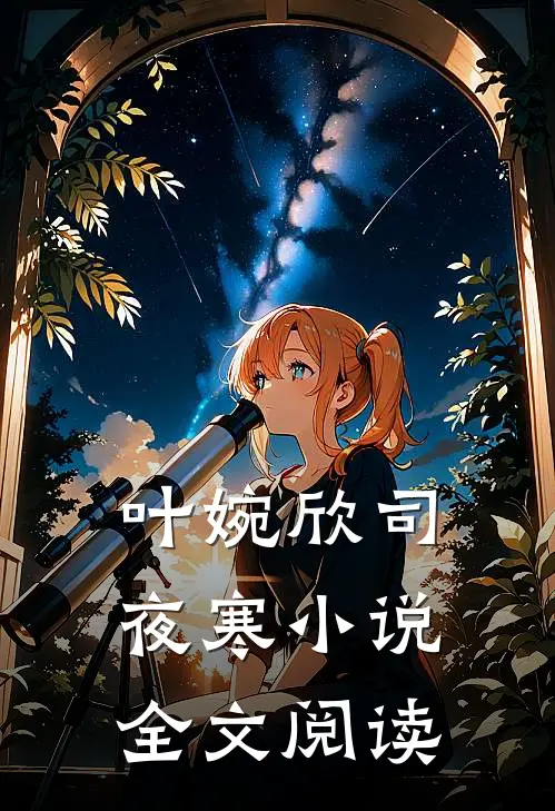 叶婉欣司夜寒小说全文阅读