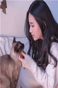 逃不掉！他的强制爱高质量好文