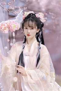 妻子的天价蜜月完结文