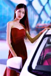 春风如过客，秋水揽星河全本小说推荐