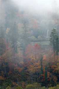 婚前不熟，婚后猛追，亲哭全球完整文集