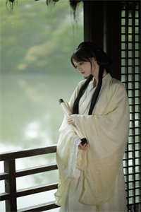 斯人若明月千里完结txt