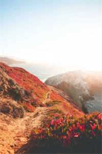 随星，随月，随清风后续