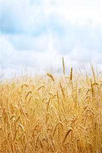 转身告别那场荒唐的爱后续