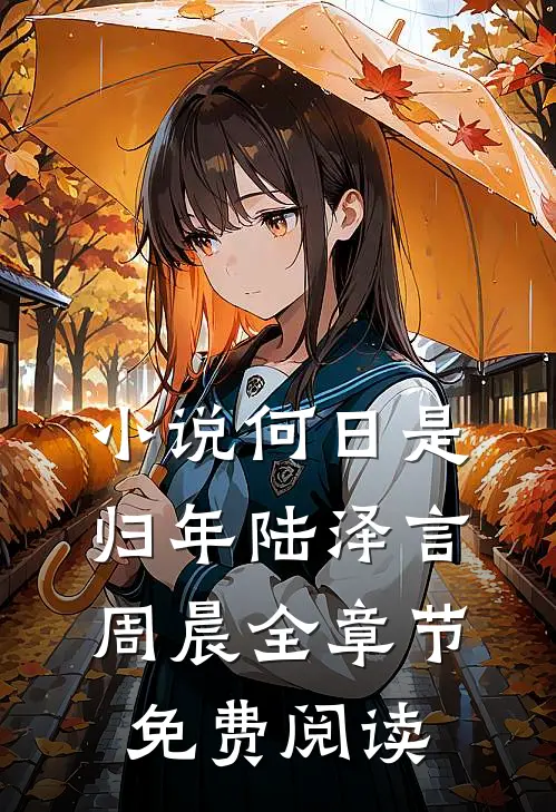 小说何日是归年陆泽言周晨全章节免费阅读
